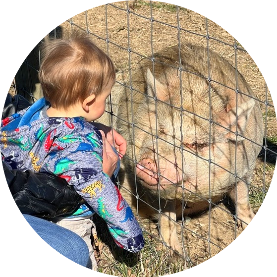 Oliver making a new friend
