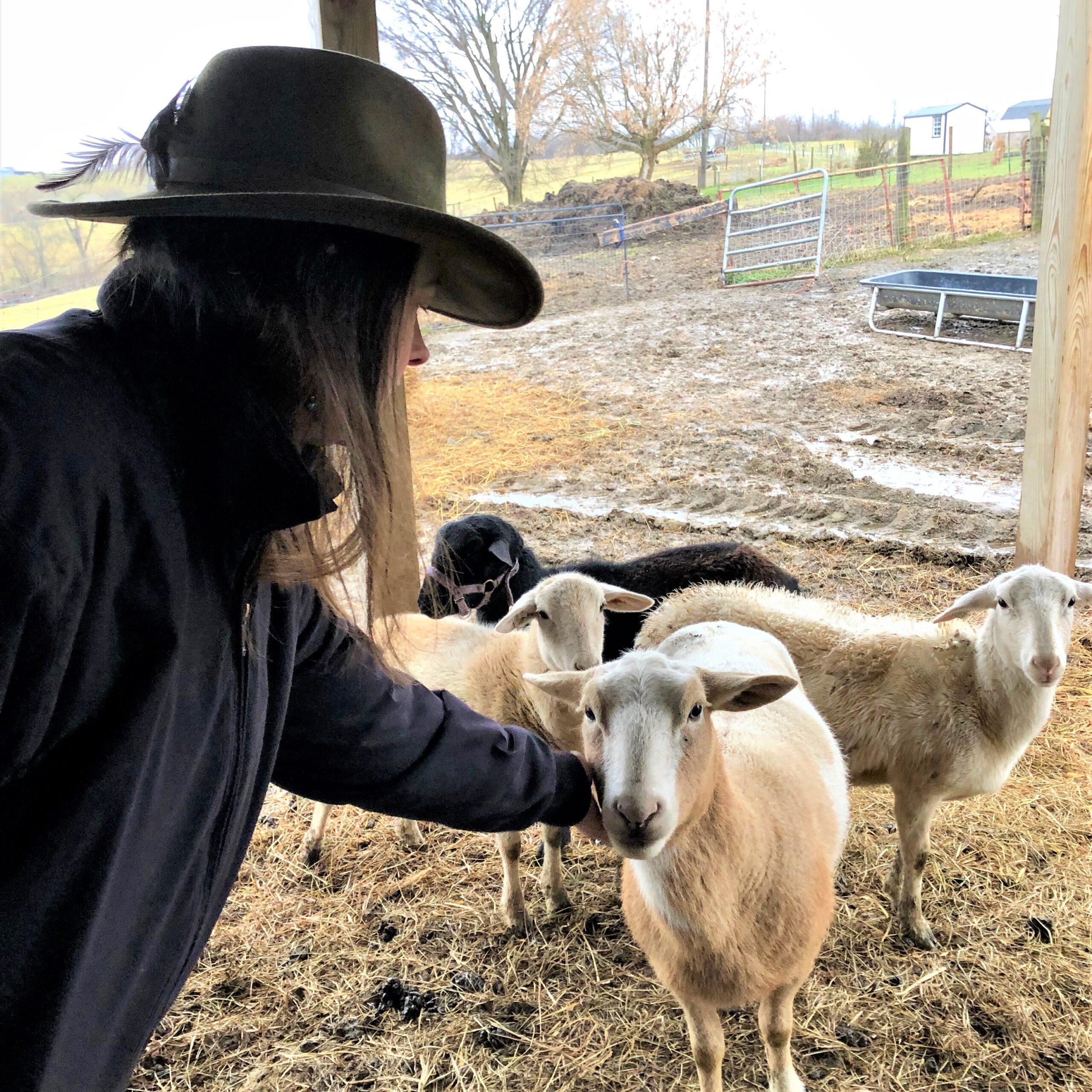 Jennifer & Lamb 2018